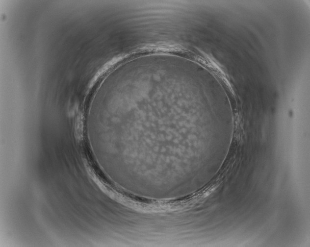 X0000086080012200703231416