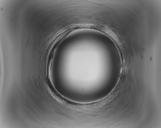 X0000086080013200703231416