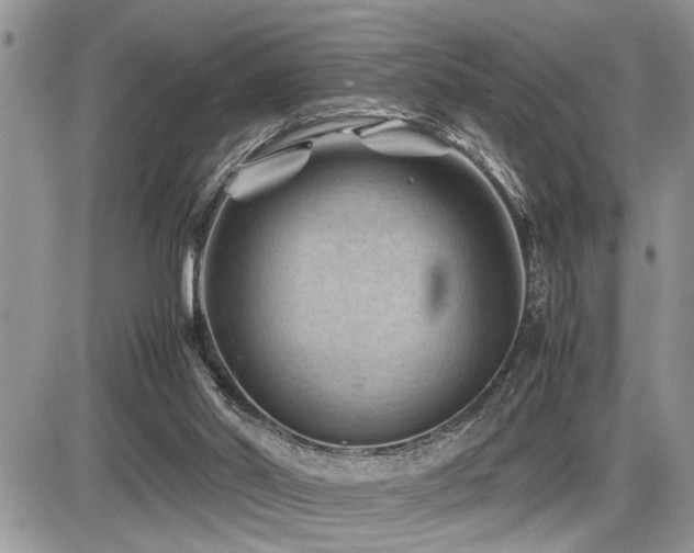 X0000086080014200703231416