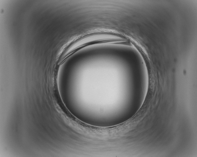 X0000086080015200703231416