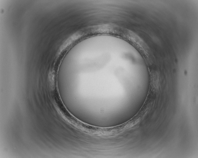 X0000086080016200703231416