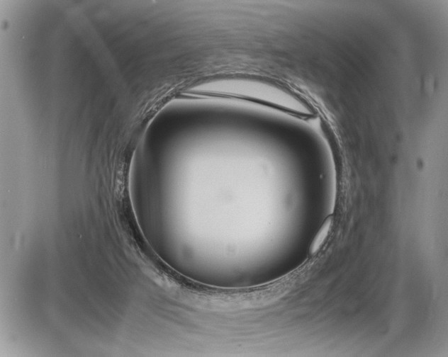 X0000086080017200703231416