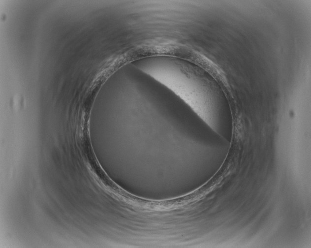 X0000086080018200703231416