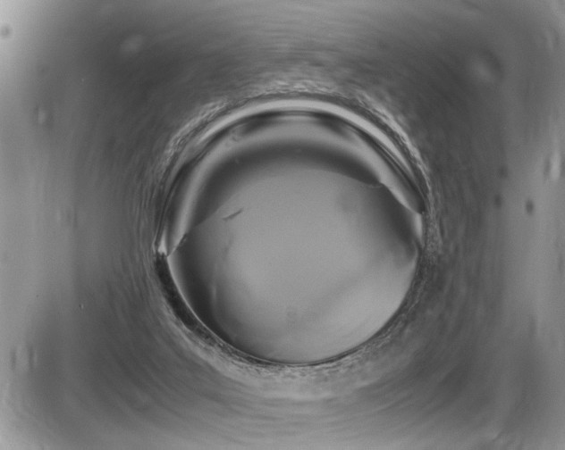 X0000086080019200703231416