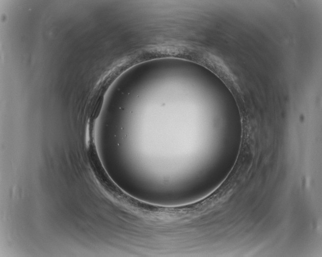 X0000086080020200703231416