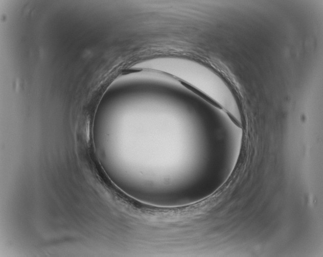 X0000086080021200703231416