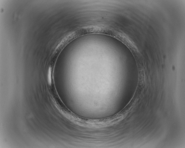 X0000086080022200703231416