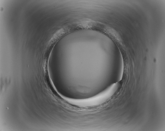 X0000086080023200703231416