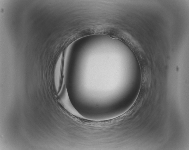 X0000086080025200703231416