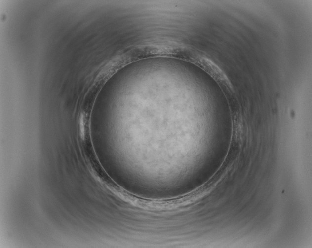 X0000086080026200703231416