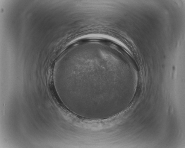 X0000086080029200703231416