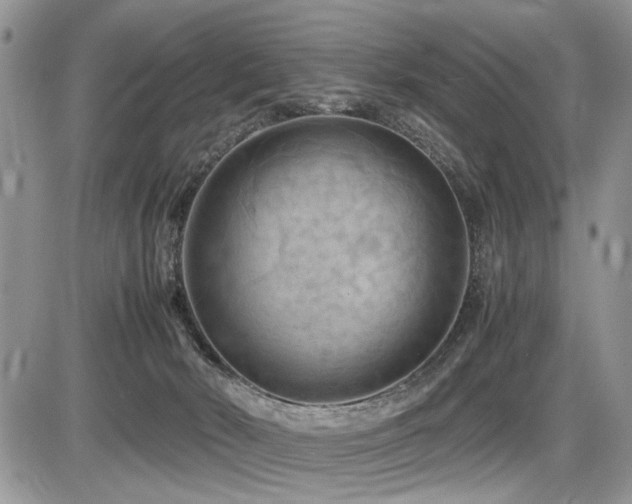 X0000086080030200703231416