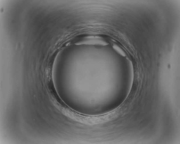 X0000086080031200703231416