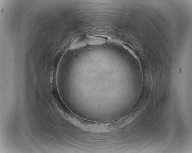 X0000086080032200703231416