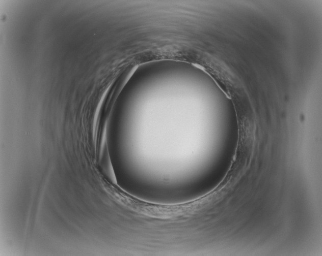 X0000086080033200703231416