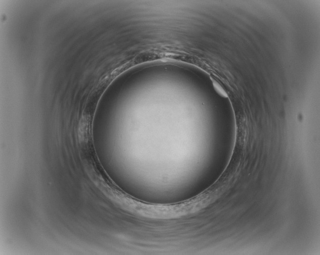 X0000086080034200703231416