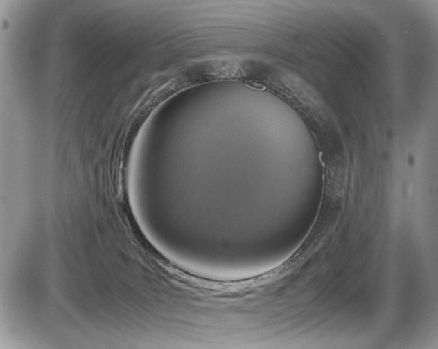 X0000086080035200703231416