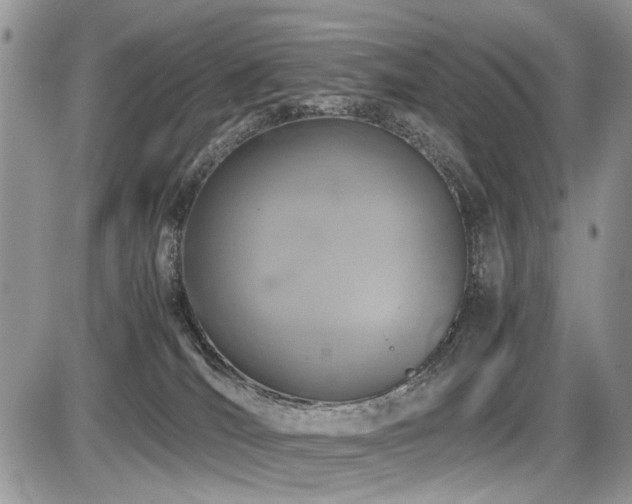 X0000086080036200703231416