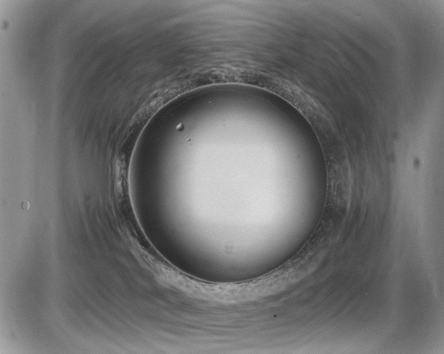 X0000086080038200703231416