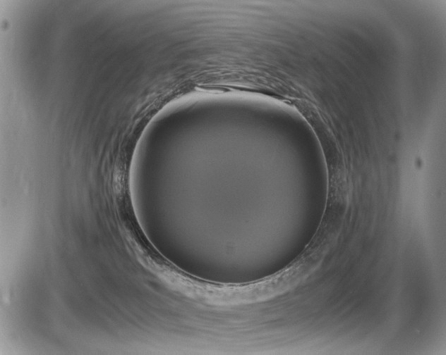 X0000086080039200703231416