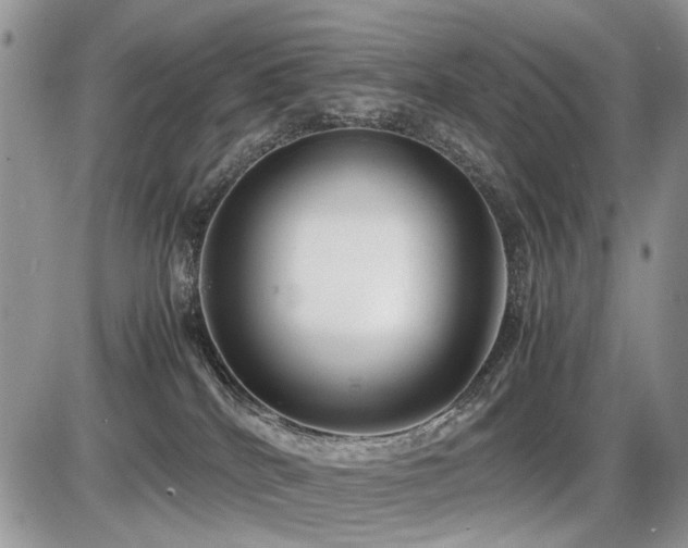 X0000086080040200703231416