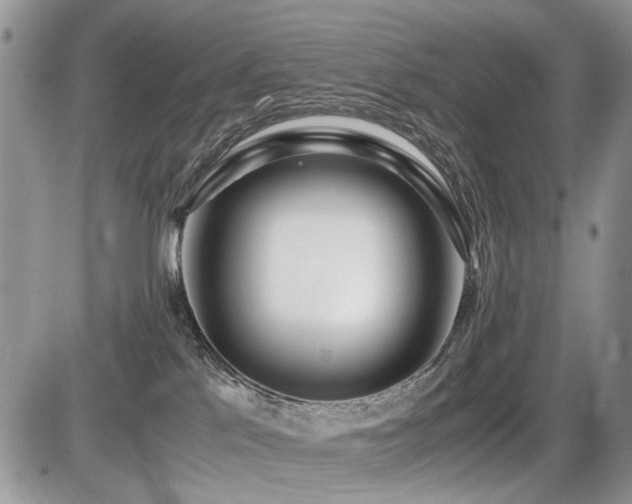 X0000086080041200703231416