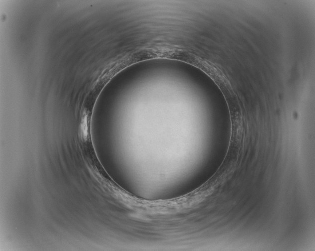 X0000086080042200703231416