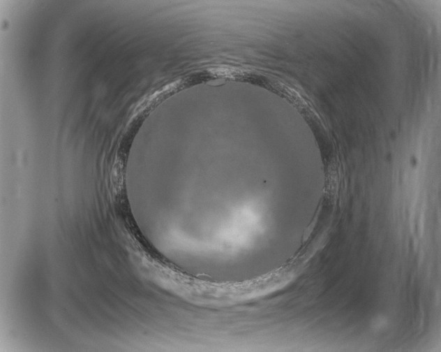 X0000086080043200703231416