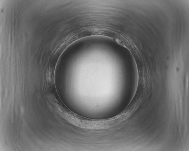 X0000086080044200703231416