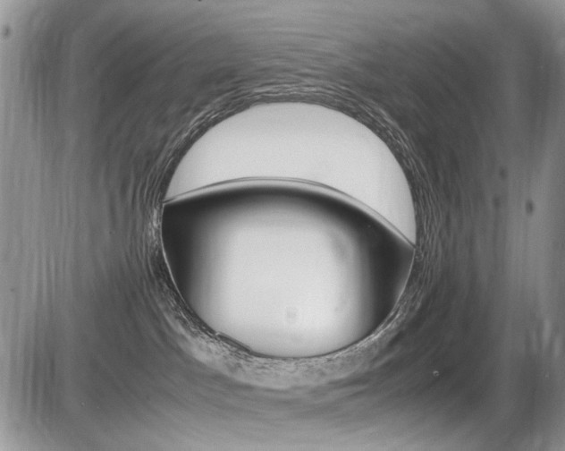 X0000086080045200703231416