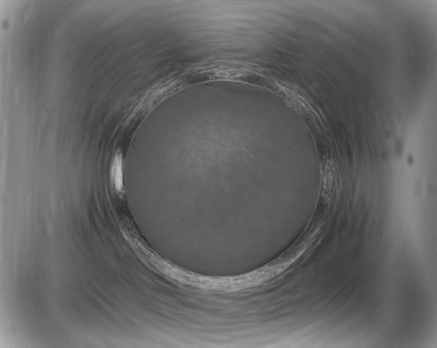 X0000086080046200703231416