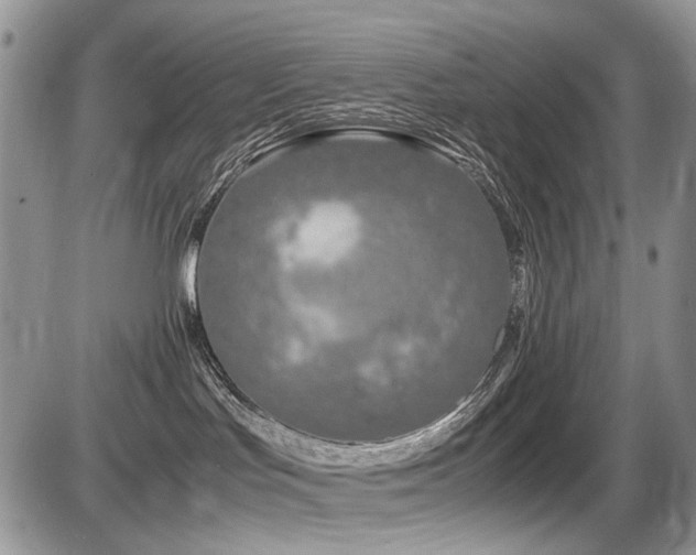 X0000086080047200703231416