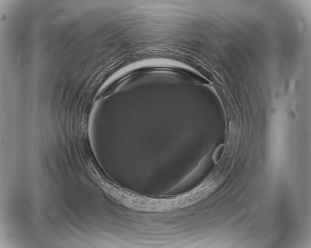 X0000086080048200703231416