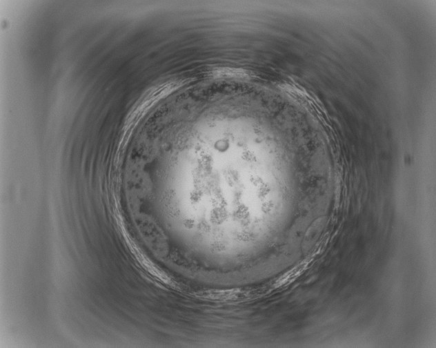 X0000086080049200703231415