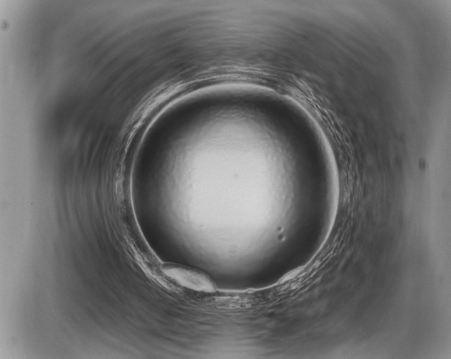 X0000086080050200703231415