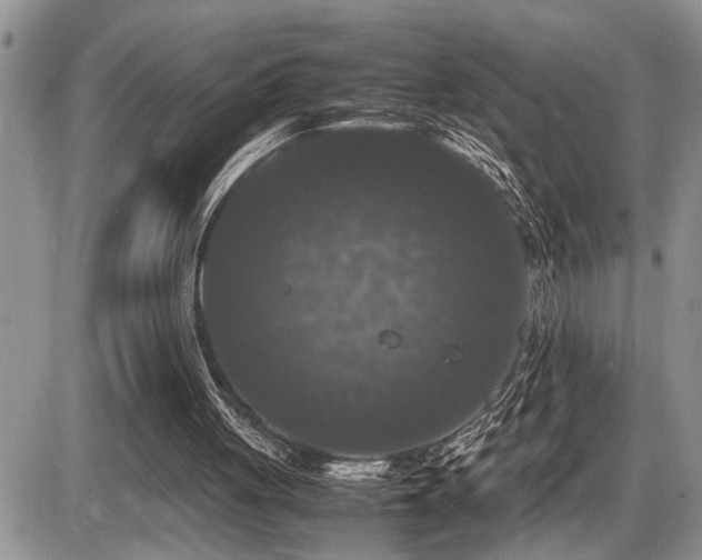 X0000086080051200703231415