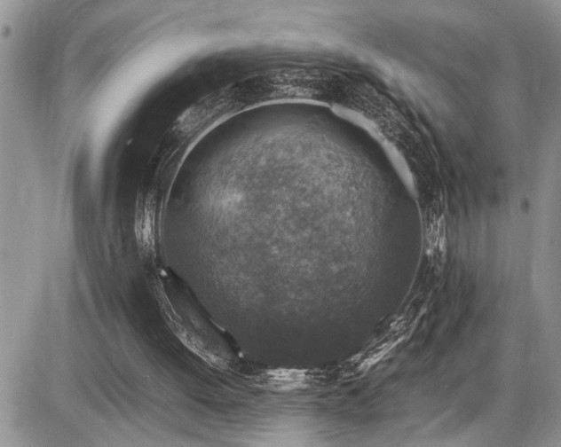 X0000086080052200703231415