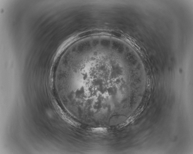 X0000086080053200703231415