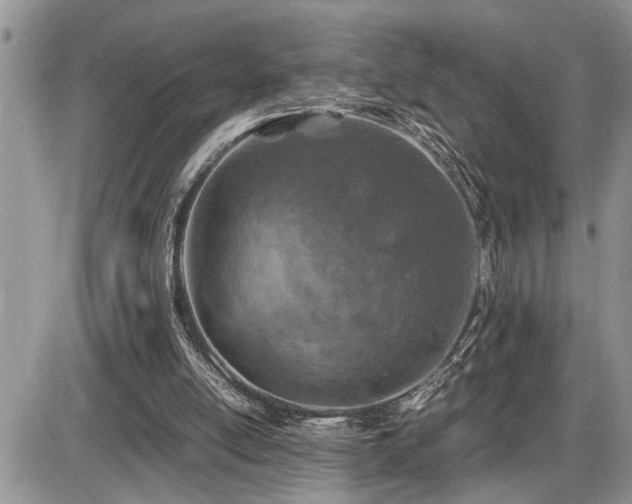 X0000086080054200703231415