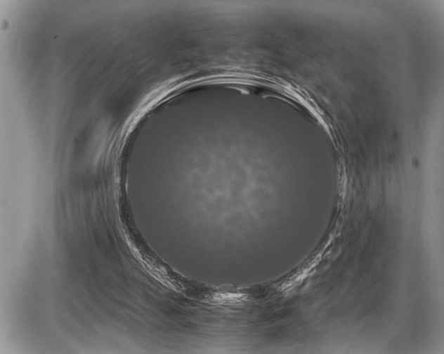 X0000086080055200703231415