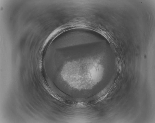 X0000086080056200703231415