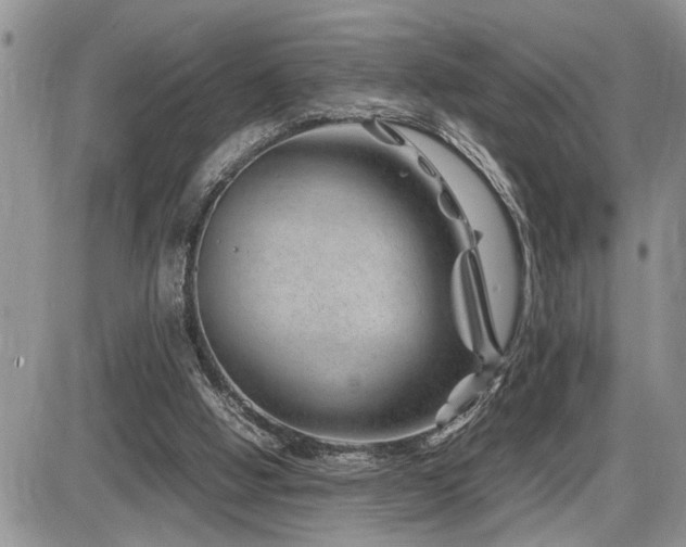 X0000086080058200703231415