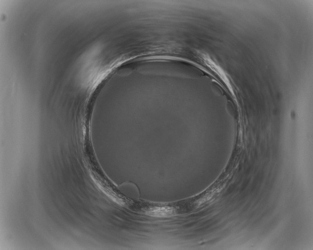 X0000086080059200703231415