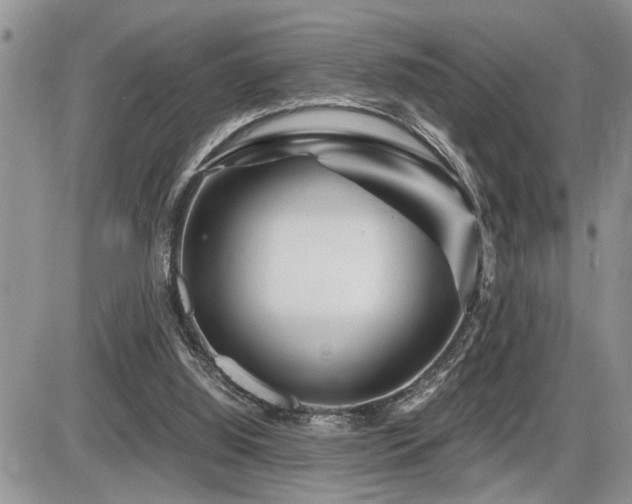 X0000086080060200703231415