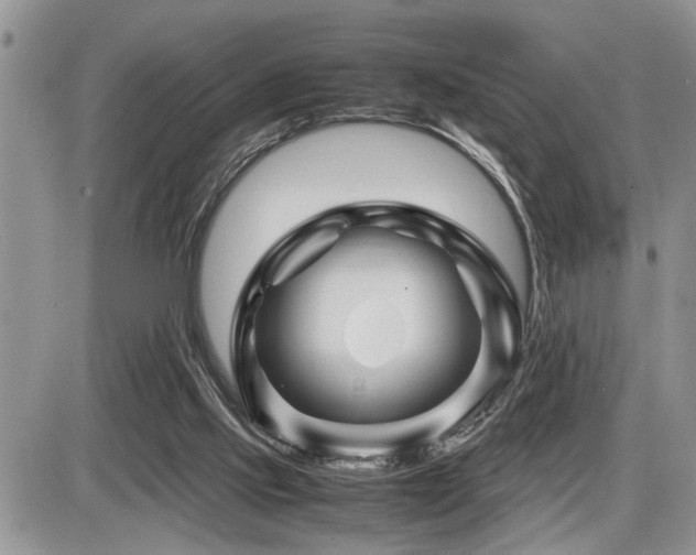 X0000086080061200703231415