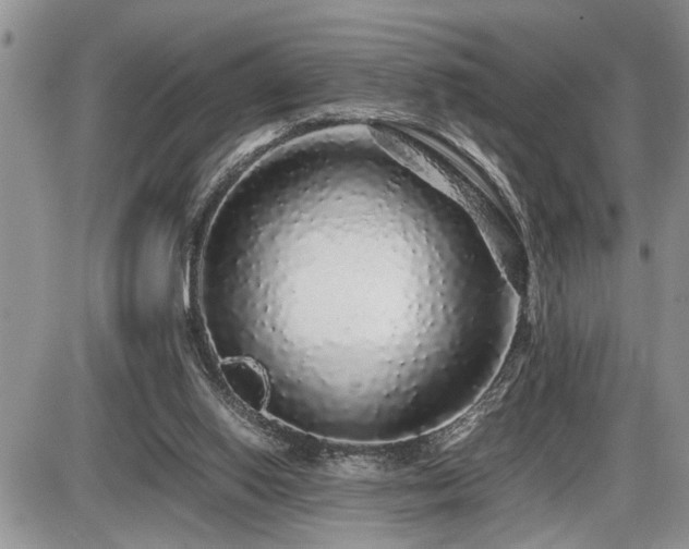 X0000086080062200703231415