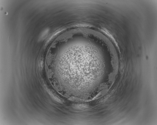 X0000086080063200703231415