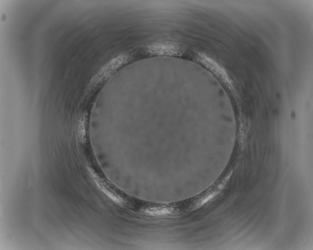 X0000086080065200703231415