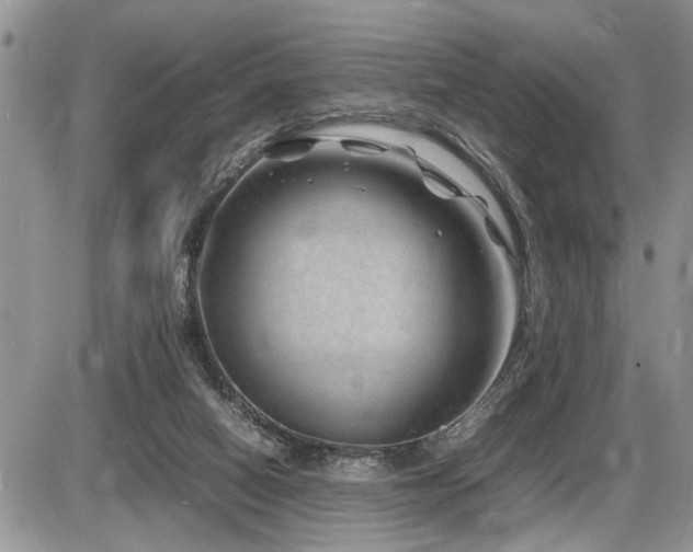 X0000086080066200703231415