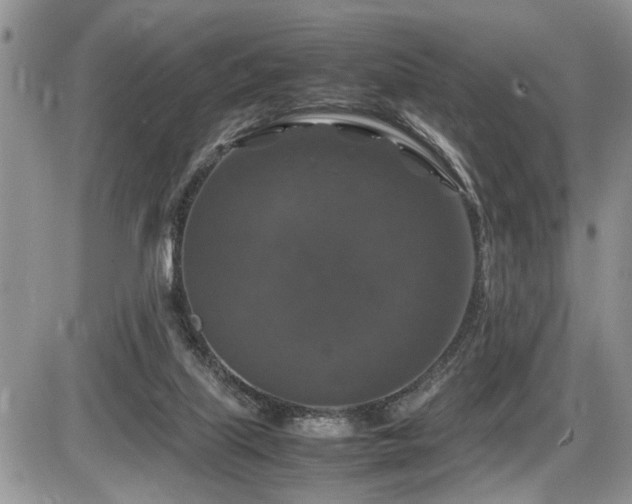 X0000086080067200703231415